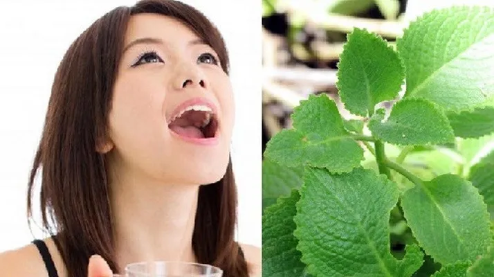 cach-chua-hoi-mieng-1